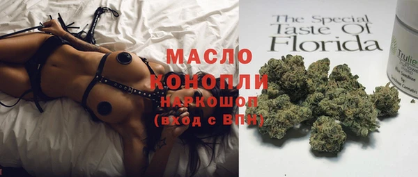 стаф Тында