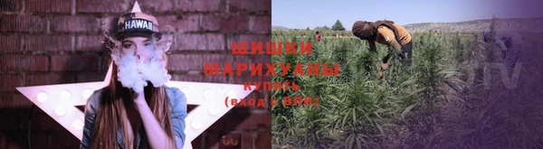 стаф Тында