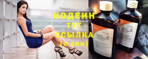 стаф Тында
