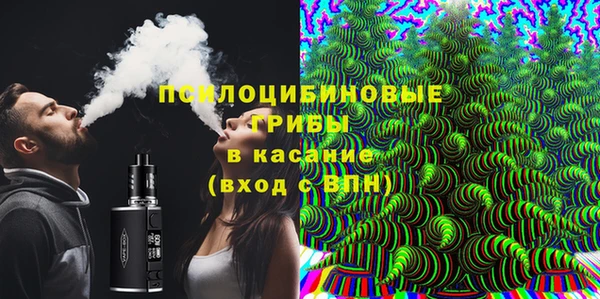 стаф Тында