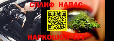 кокс Можга