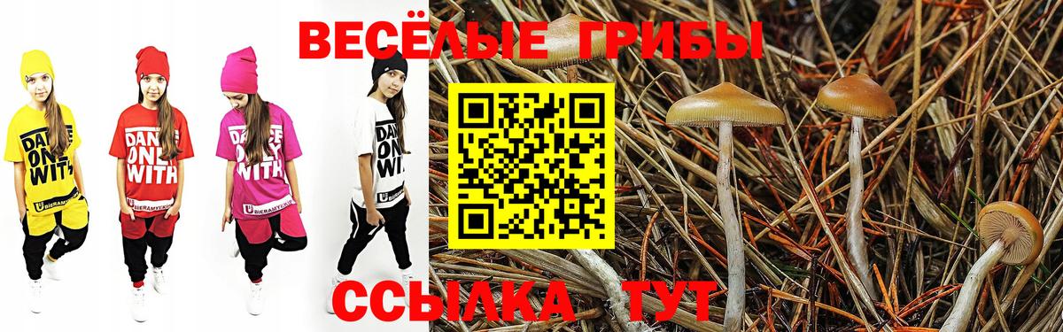 Галлюциногенные грибы мухоморы  Черняховск 