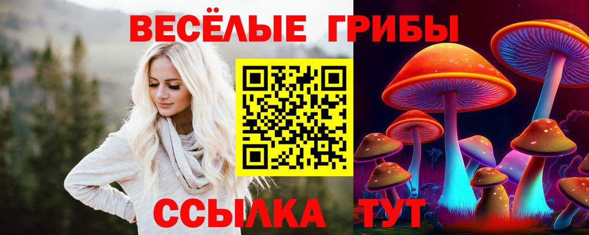 Черняховск  Псилоцибиновые грибы мицелий  Вход с VPN 