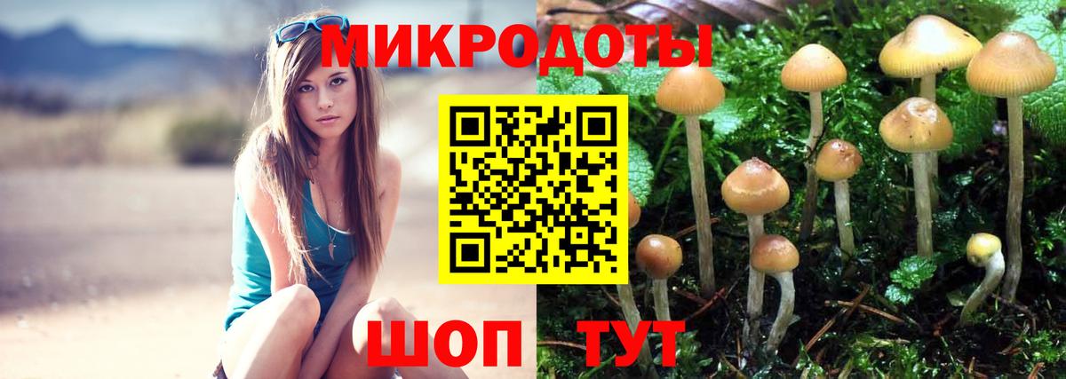 Гашиш Черняховск